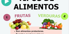 Infografía Tipos de alimentos
