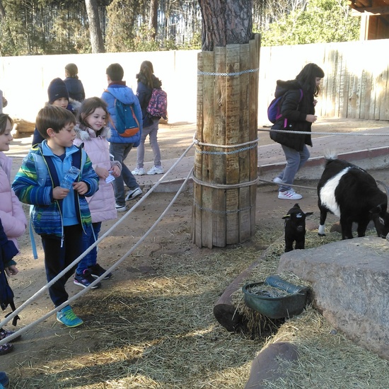 3ºE- Fotos Primer Trimestre 30