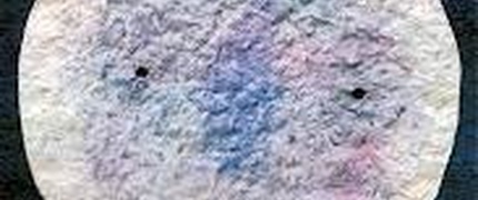 The taste of the moon