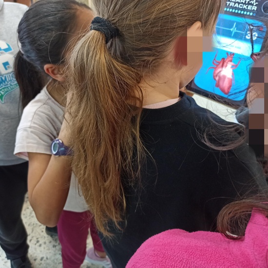 PW Proyecto Tablets Colegio 2019-2020 7