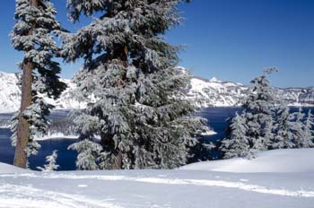 Paisaje invernal