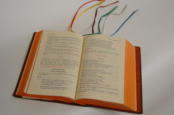 Separador de lectura