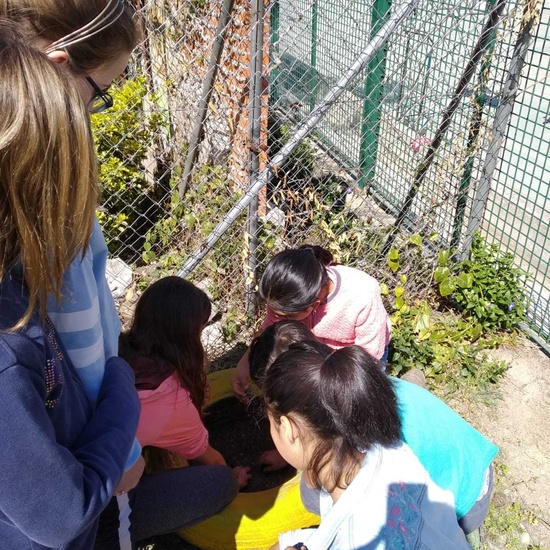 2019_04_Quinto en el huerto_CEIP FDLR_Las Rozas 7