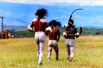 Hombres pintados de blanco, Irian Jaya, Indonesia