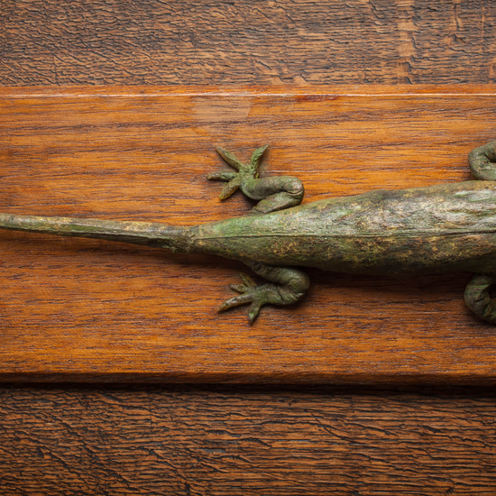 IES_CARDENALCISNEROS_CIENCIASNATURALES_303