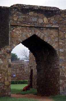 Trabajadora limpiando los jardines del Purana Qila, Fuerte Antig