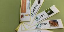 MATERIALES ESPECIFICOS PARA EL DESARROLLO DE LE LECTO ESCRITURA EN EL TRABAJO CON ALUMNOS TEA 8