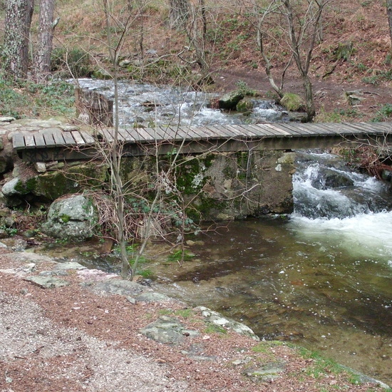 6º CERCEDILLA 2019 32