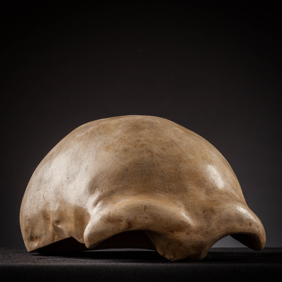 IES_SANISIDRO_MUSEO_Craneos_031