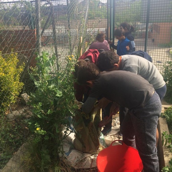 2019_05_Los alumnos de 4º en el Huerto_CEIP FDLR_Las Rozas 45
