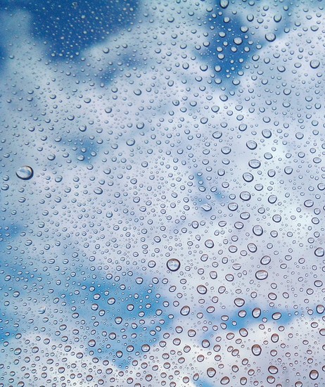 Laura Rodriguez Rebolleda 2. 6ºB