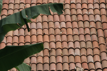 Tejado de una casa de Olinda, Pernambuco, Brasil