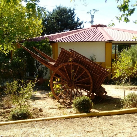 Granja Escuela 1º y 2º EP 2017-18_24_3 5