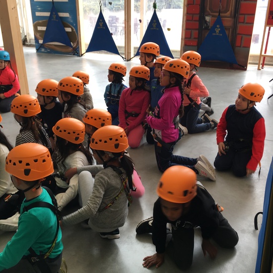 3º de Primaria visita el Verical Park 4