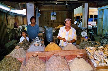 Tienda de pescado desecado, Sulawesi, Indonesia