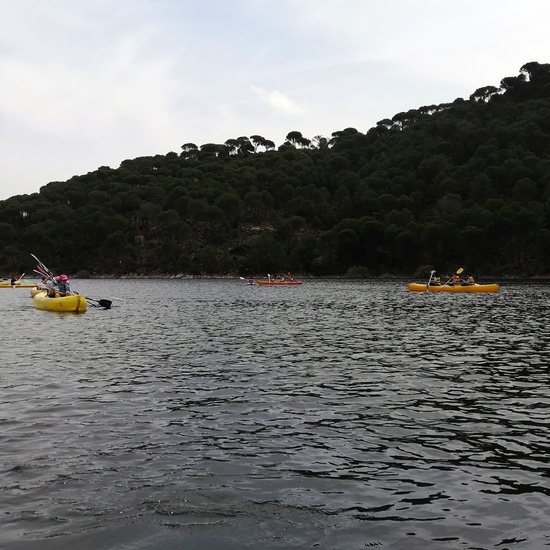 MULTIAVENTURA 5º  y  6º EP MAYO 2018 25