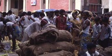Mercado de maíz, Calcuta, India