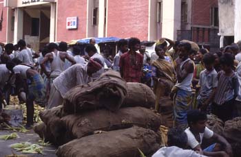 Mercado de maíz, Calcuta, India