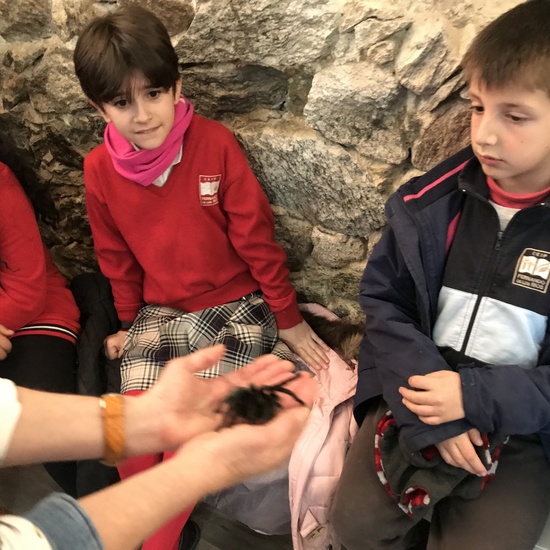 2020_02_27_3º visita Insectpark (5)_CEIP FDLR_Las Rozas 30