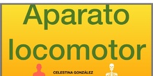 El aparato locomotor
