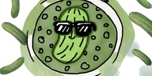 SHOPPING_PEPINOCAPS