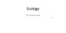 Ecology - Trophic levels