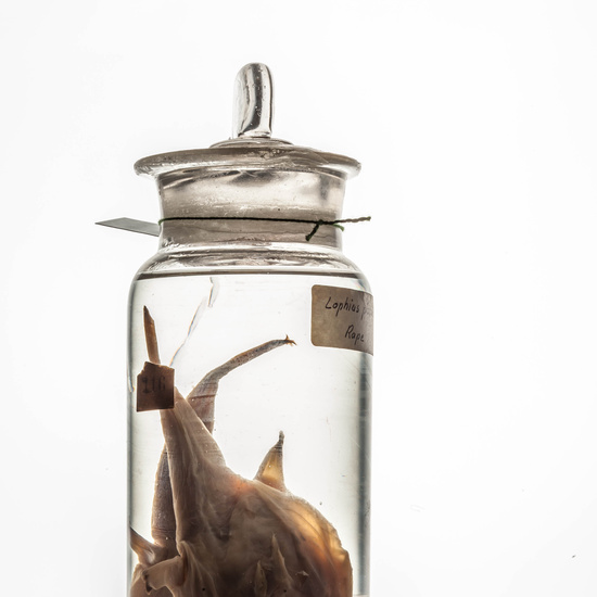 IES_CARDENALCISNEROS_CIENCIASNATURALES_144