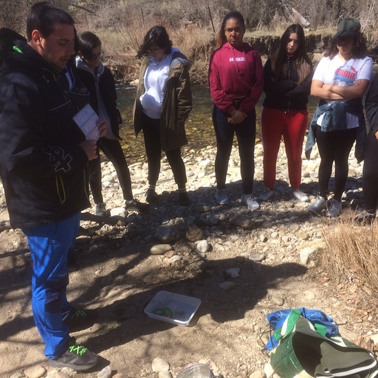 TALLER BIODIVERSIDAD PINILLA DEL VALLE 5