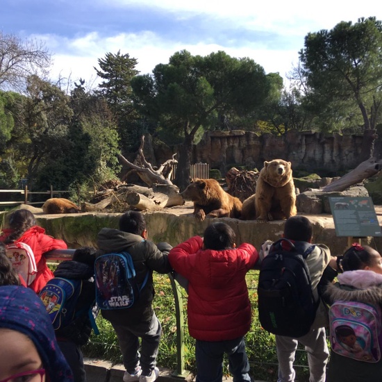 Excursión al zoo 5 años, 1º y 2º Luis Bello 22