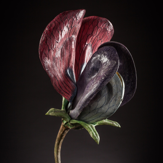 IES_ISABELLACATOLICA_BIOLOGIA_168