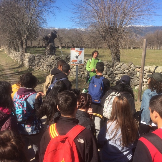 TALLER BIODIVERSIDAD PINILLA DEL VALLE 3