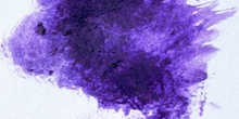 Mancha violeta