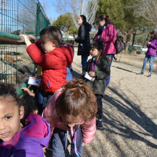 GRANJA ESCUELA ALBITANA 2018 6