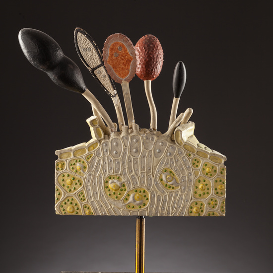 IES_SANISIDRO_BIOLOGIA_147