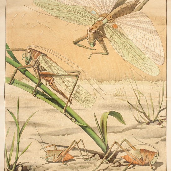 IES_RAMIRODEMAEZTU_BIOLOGIA_011