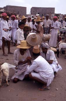 Cerrando un trato en el mercado de ovejas y cabras de Suq al Kha