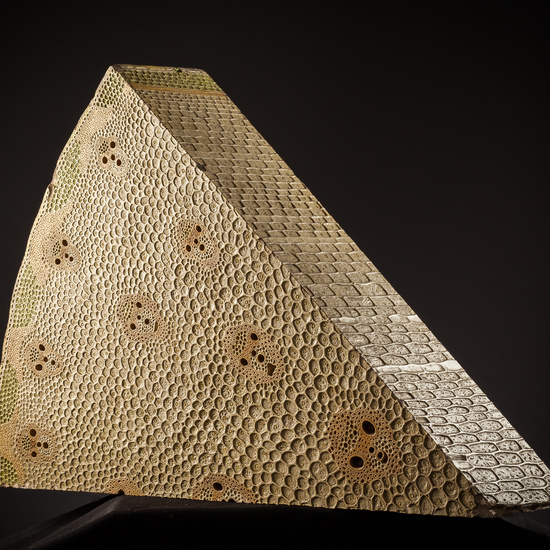 IES_SANISIDRO_BIOLOGIA_215