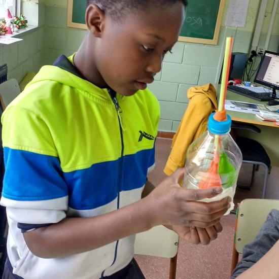 Experimentos en el aula