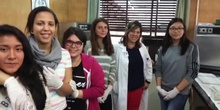Feria de ciencias