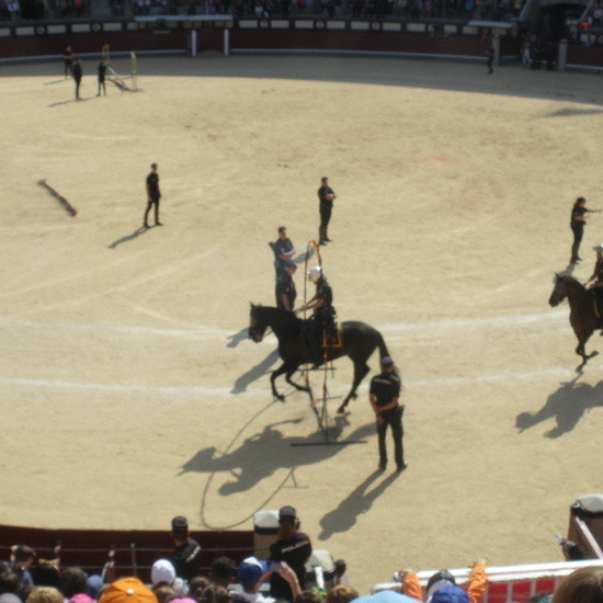 Salida 2º y 3º de Primaria a la exhibición Policía en las Ventas.Oct.19 12