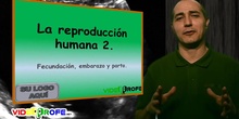 LA REPRODUCCIÓN HUMANA .2