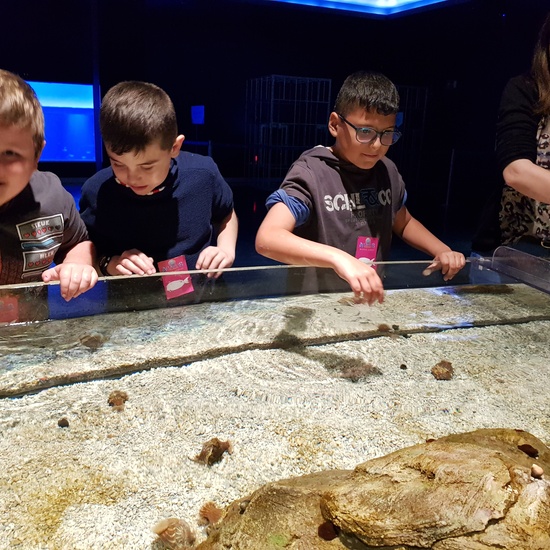 Fotos Aquarium Xanadú 3ºB 17