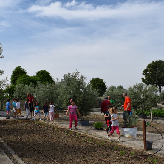 Siembra Huerta Balta 5 años 2018 26