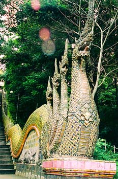 Hidra decorando escaleras, Tailandia