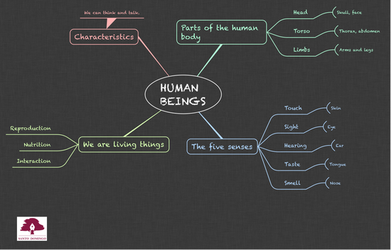 NS_HUMAN BEINGS_3