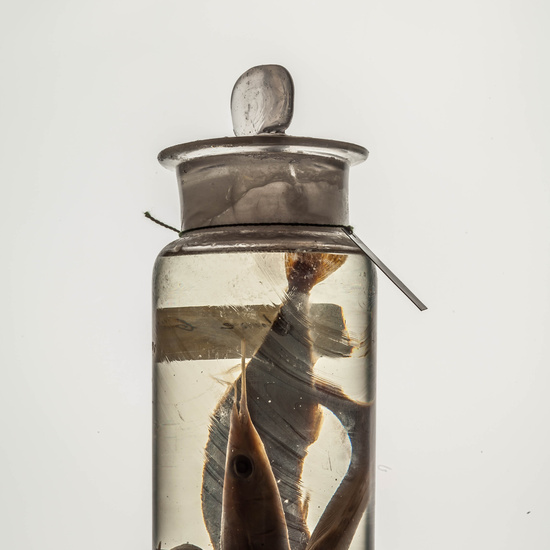 IES_CARDENALCISNEROS_CIENCIASNATURALES_128