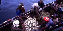 Pescadores en el puerto de Hodeidah, Yemen