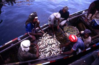 Pescadores en el puerto de Hodeidah, Yemen