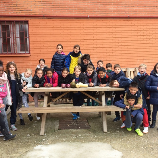 The vegetable garden in autunm 4