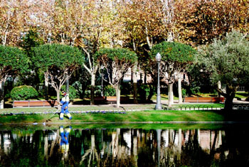 Trabajos de jardinería